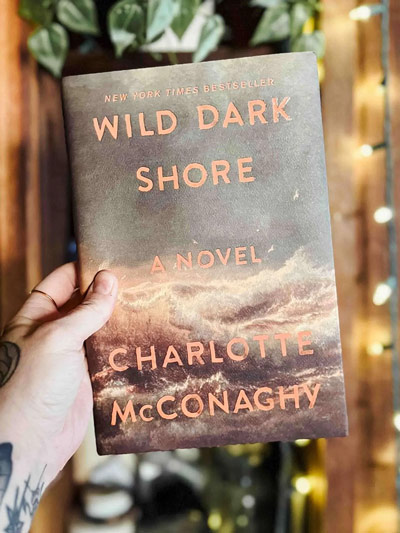 Wild Dark Shore book